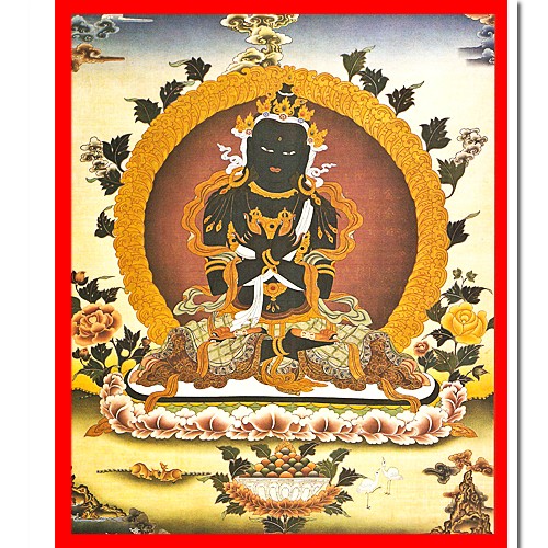 金剛總持-A4GU11