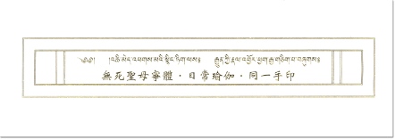 【薩嘉派系列】無死聖母寧體 ‧ 日常瑜伽 ‧ 同一手印(ST058)