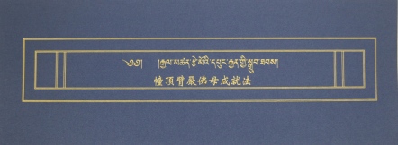 【薩嘉派系列】幢頂臂嚴佛母成就法(ST050)