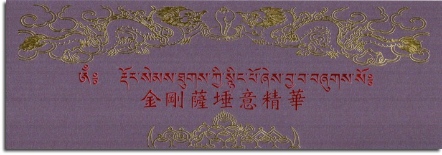 【寧瑪派系列】金剛薩埵意精華(N0034)