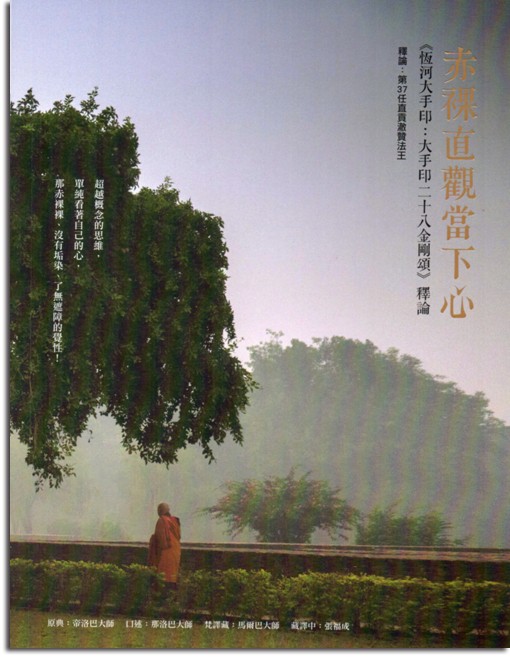 赤裸直觀當下心：《恆河大手印：大手印二十八金剛頌》釋論