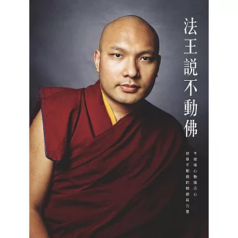 【噶瑪巴教言系列16】法王說不動佛