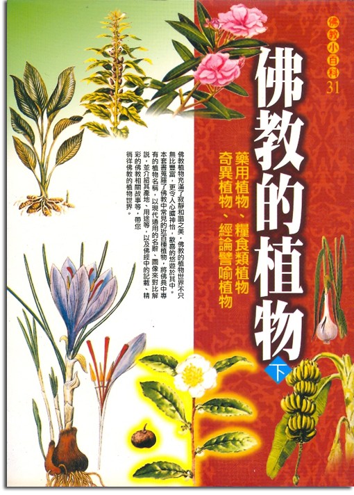 佛教小百科(31)─佛教的植物（下）：藥用植物、糧食類植物、奇異植物、經論譬喻植