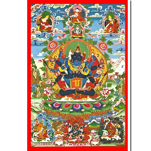 密集金剛-A4VA05