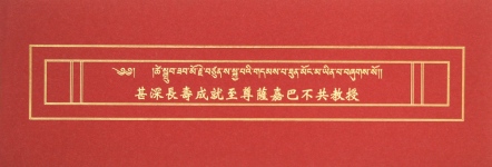 【薩嘉派系列】甚深長壽成就至尊薩嘉巴不共教授(ST070)